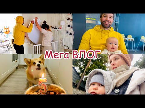 Видео: НОВЫЙ ЭТАП мы поняли что с Таффи! Сэдди 5 лет! МЕГА VLOG