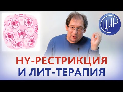 Видео: Лимфоцитоиммунотерапия. ЛИТ-терапия, HLA-типирование и HY-рестрикция. Рассказывает Гузов И.И.