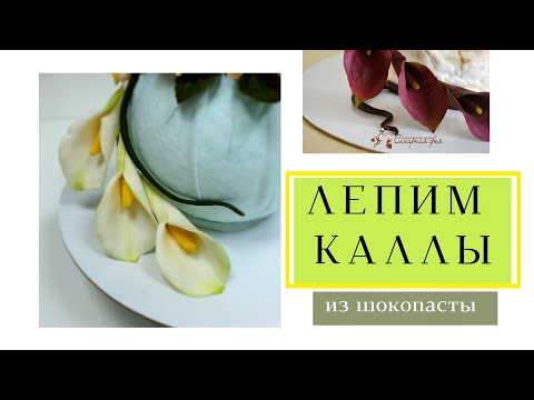 Видео: Каллы лепим из шокопасты