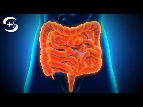 Видео: Музыка для детоксикации кишечника - Частота исцеления тонкого кишечника