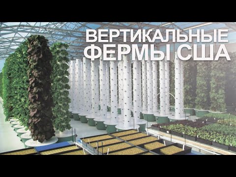 Видео: Гидропоника #здоровоепитание #здоровыйобразжизни #бизнесидеи