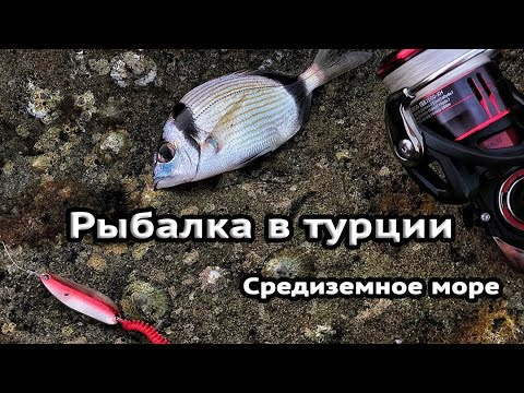 Видео: Поиск мест и первые пробы морской рыбалки в Турции. Рокфишинг в Алании