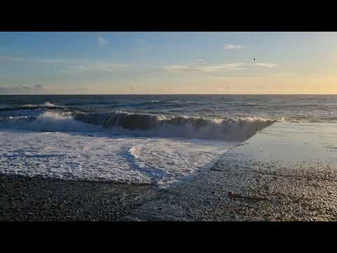 Видео: Волшебная мелодия "МЕЧТА" / Николай Засидкевич (аккордеон)