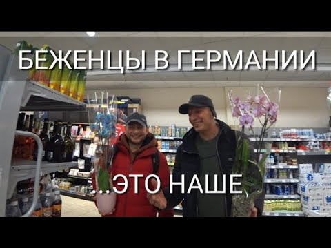 Видео: Зубы на суперклей. Сколько стоит ТЮФ. Цветы для женщин. Ансамбль беженцев. Как оборудована школа.