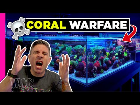 Видео: Самая большая ошибка, которую мы когда-либо совершали | ОБНОВЛЕНИЕ полуострова 750 галлонов