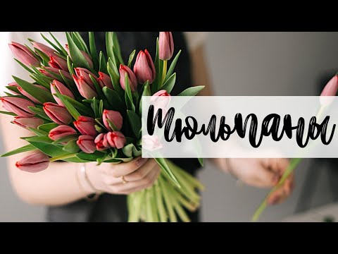 Видео: Тюльпаны 🌷 Как Выбрать и Сохранить 🌷