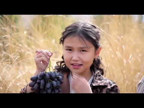 Видео: Алманбекова Элзада “Алтын күз”