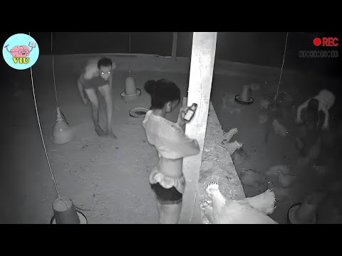 Видео: Невероятные моменты, запечатленные на камеру!