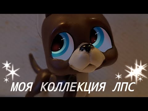 Видео: LPS: МОЯ КОЛЛЕКЦИЯ ЛПС | #lpstubeжив