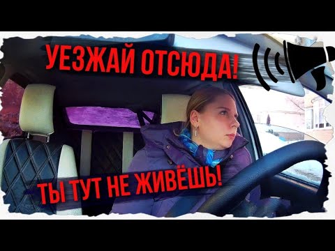 Видео: ТОП ОЛЕНЕЙ НА ДОРОГЕ!