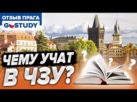 Видео: Опоковани- чешский академ. Отзыв о языковой школе Go Study (Гоустади)