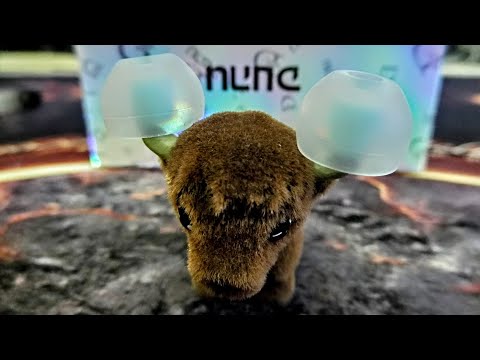 Видео: DUNU CANDY – изучаем размер L...