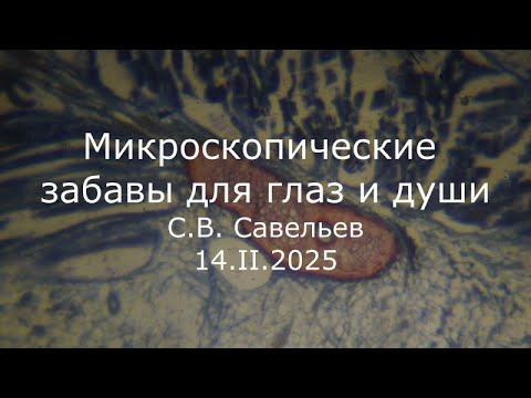 Видео: С.В. Савельев - Микроскопические забавы для глаз и души