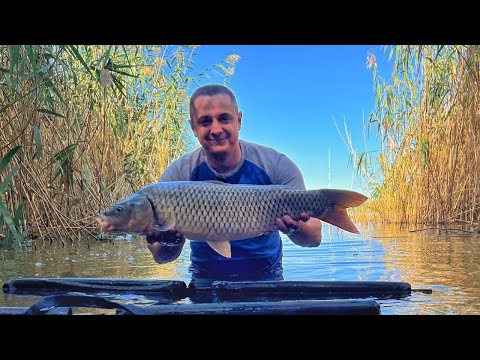 Видео: РИЖІ САЗАНИ затягують у Дніпро 🎣 Дві доби на дикарі 😎