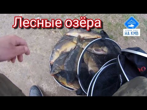 Видео: Рыбалка (КМВ). Ставропольский край. Лесные озёра🌳 🌿🎣