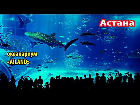 Видео: Потрясающие обитатели океанариума Ailand в Астане #астанаокеанариум #океанариумailand #ailandастана