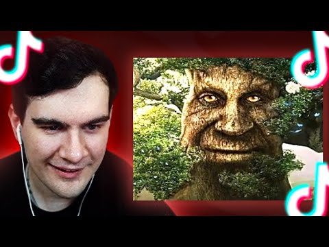 Видео: БРАТИШКИН СМОТРИТ - ТИКТОКИ #60