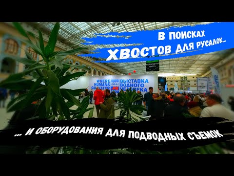 Видео: Московское Дайв Шоу 2024 / Moscow Dive Show 2024 / Выставка Водного Человека 2024