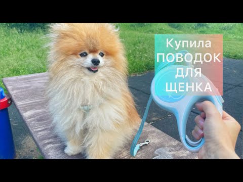 Видео: КУПИЛА Новый ПОВОДОК ДЛЯ Собаки | FLEXI