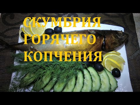 Видео: СКУМБРИЯ ГОРЯЧЕГО КОПЧЕНИЯ. ПОШАГОВЫЙ РЕЦЕПТ. КАК ПРИГОТОВИТЬ СКУМБРИЮ ГОРЯЧЕГО КОПЧЕНИЯ