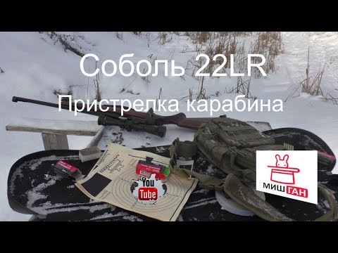 Видео: Соболь 22LR Тестовый отстрел