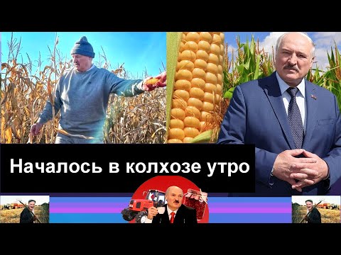 Видео: Сатиричні раш-новини №366  -  Началось в колхозе утро
