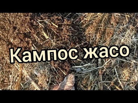 Видео: Кампос жасоо