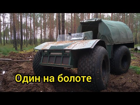 Видео: Один на болоте