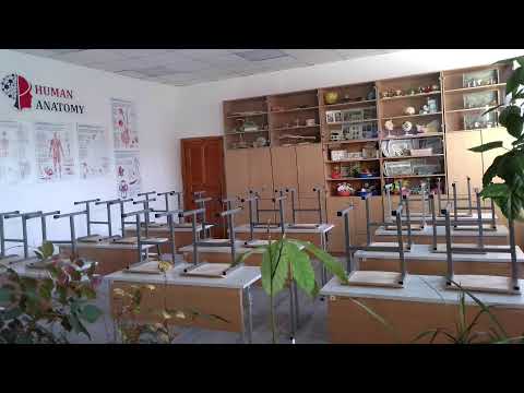 Видео: Химия (I тур)