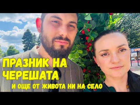 Видео: ЖИВОТ НА СЕЛО: Готвим лазаня и празнуваме с череши – какво ново в къщата и градината 🍝🍒🌿