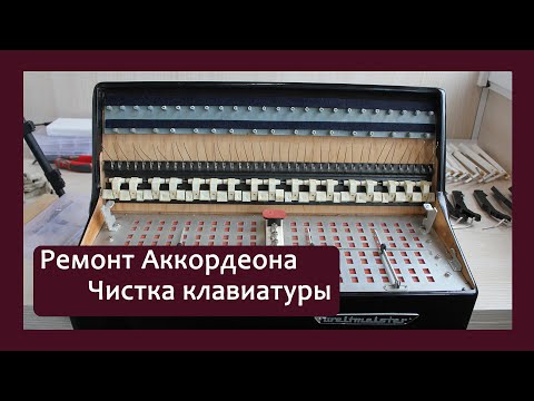 Видео: Трудовые будни / Ремонт аккордеона / Чистка клавиатуры