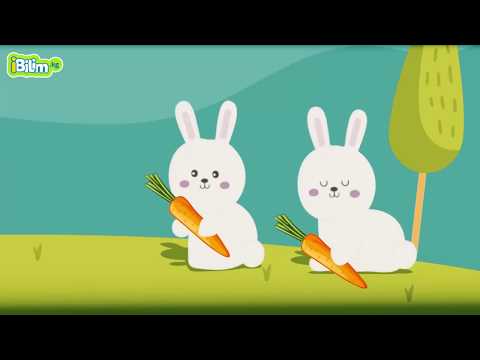 Видео: Бөлүү деген эмне?