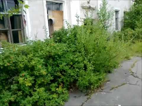 Видео: в ч 03431 23 года спустя