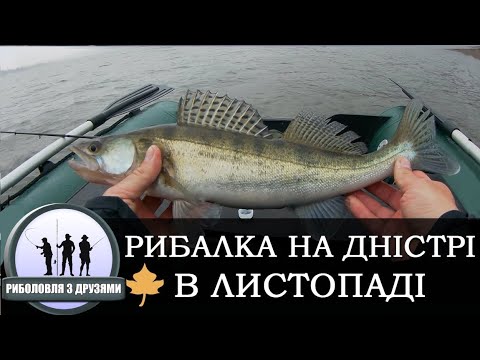 Видео: Рибалка на Дністрі, осінь, Чернівецька обл, Берново.