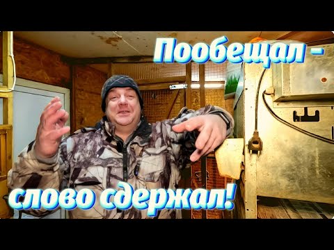 Видео: Новые поилки для курятника, неожиданный результат!