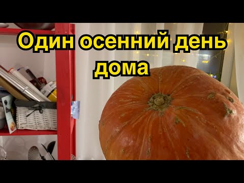 Видео: ОДИН ДЕНЬ ДОМА | Ленивые голубцы | Маруся на кухне