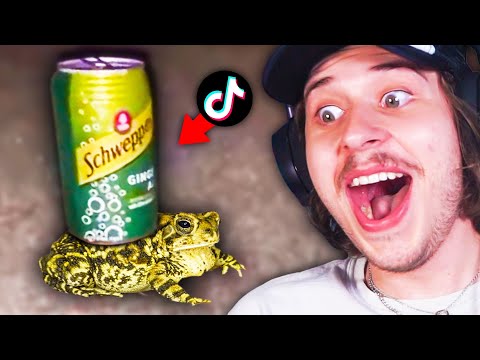 Видео: Уморительные низкокачественные мемы с пацанами!