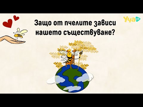 Видео: Как нашето съществуване зависи от пчелите?