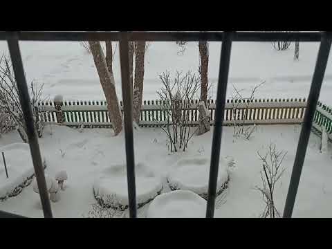 Видео: Снег в Забайкальском крае в городе Чита