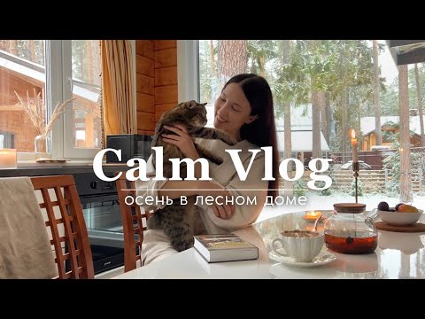 Видео: CALM VLOG: осень в лесном доме - почему мы переехали за город? 🏡