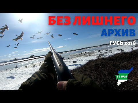 Видео: Охота на гуся. Стрельба по гусю в лёт. Нарезка лучших выстрелов. Без лишнего. Beretta. Goose hunting