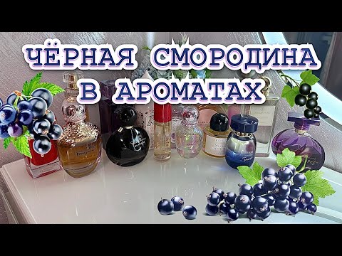 Видео: 💙ТОП 15 АРОМАТОВ С НОТОЙ ЧЁРНОЙ СМОРОДИНЫ💙