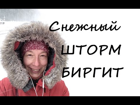 Видео: Шторм Биргит в Таллинне. Главная Ёлка Эстонии.