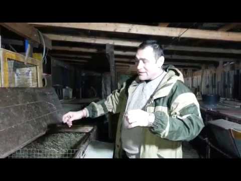 Видео: КЛЕТКИ 1на2 метра,И 50на70 см,ВСЁ ЧТО НАДО ДЛЯ КРОЛИКОВОДА!