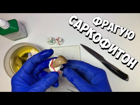 Видео: Фрагую саркофитон (лайфхак приращивания) | Морской аквариум