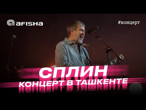 Видео: Сплин. Концерт в Ташкенте 2023 #сплин