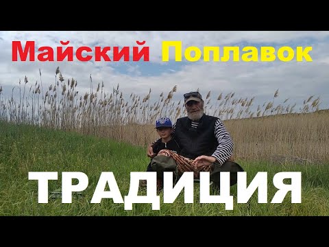 Видео: 26 мая 2025 г.