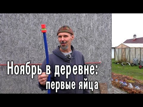 Видео: Ноябрь в деревне
