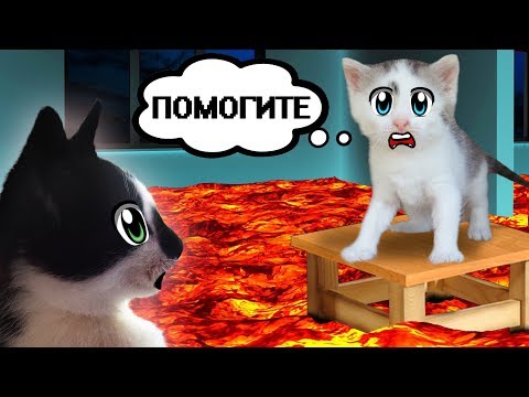 Видео: КОТИКИ ВЫБИРАЮТ ЧТО КРУЧЕ? 3 МАРКЕРА ЧЕЛЛЕНДЖ? Floor is lava CHALLENGE или ЕДА СКВИШИ