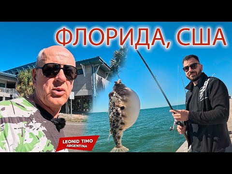 Видео: 🎣 РЫБАЛКА В ТАМПЕ! Лицензия, Мост, ХЕК. ФЛОРИДА, США 🌴